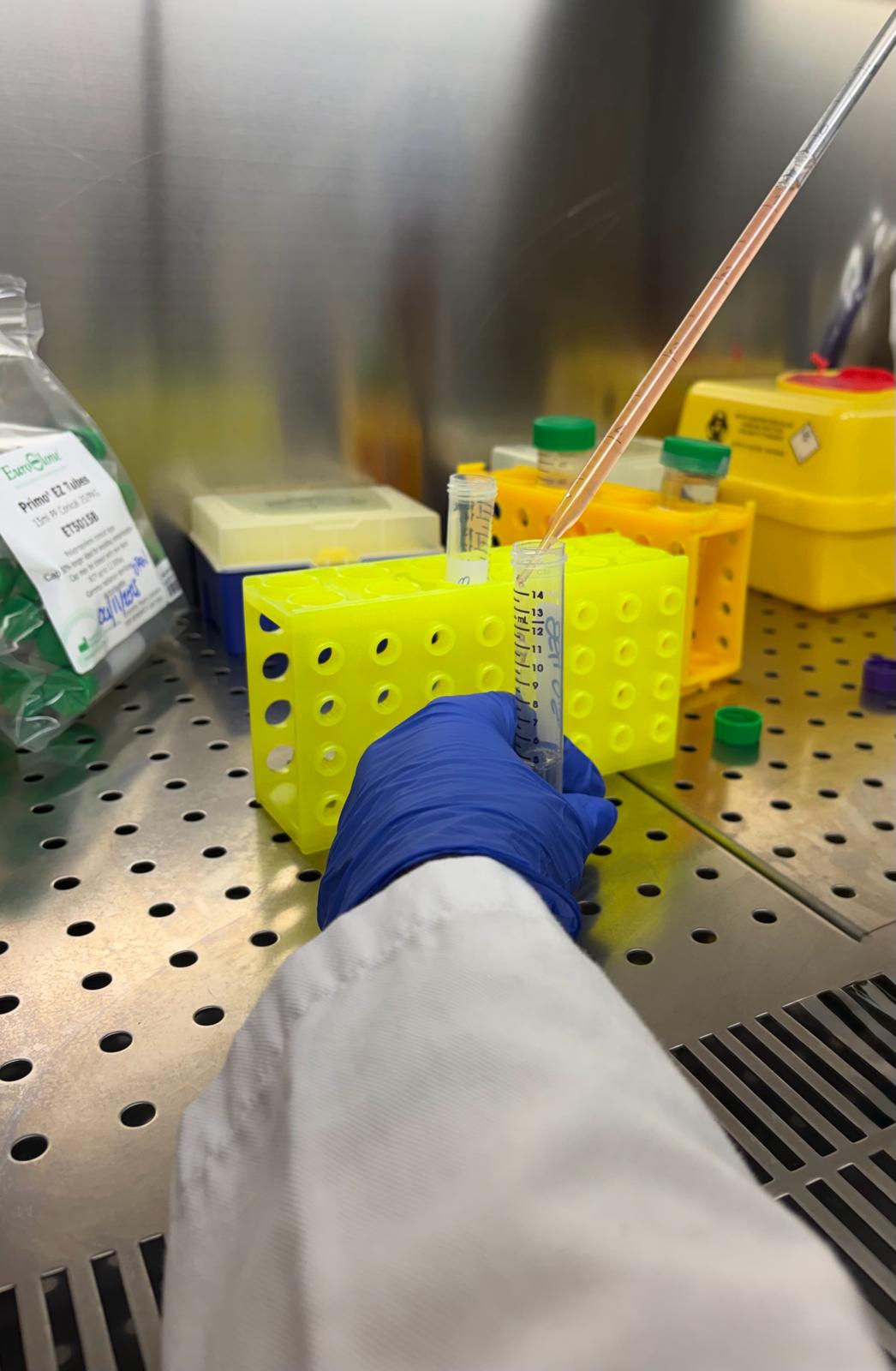 WhatsApp Image 2026-03-09 at 12.57.06 (3)